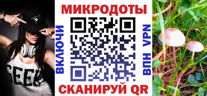 Купить закладки  Конаково  Псилоцибиновые грибы Psilocybe 