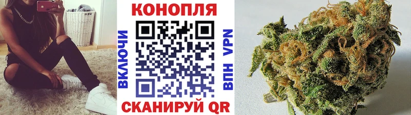 Купить закладки  Конаково  Канабис планчик 